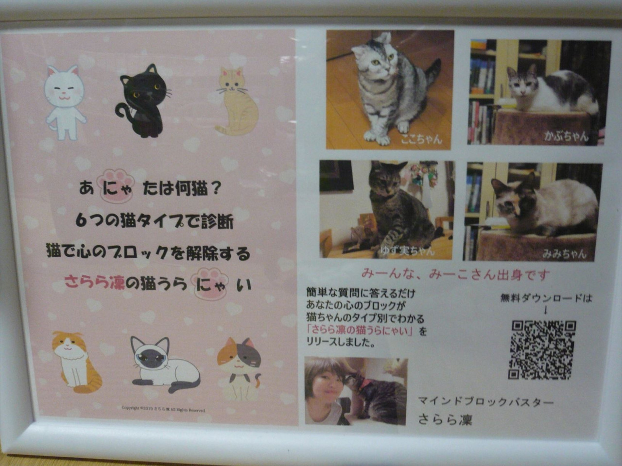 和歌山市猫カフェみーこイベント　さらら凛　あなたの猫タイプは？＋ブロック解除